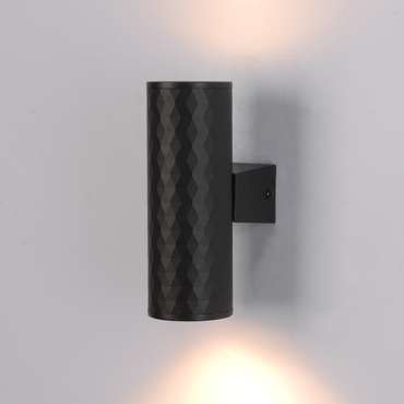 Фасадный светильник Arte Lamp HYADUM A3458AL-2BK