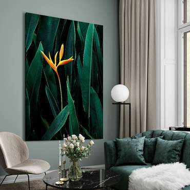 Картина на холсте Тропический цветок 50х70 см