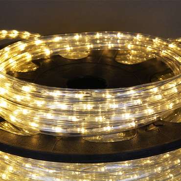 13-2W-100M-220V-LED-U WW дюралайт круглый