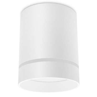 Потолочный светильник TECHNO SPOT TN280 (металл, цвет белый)