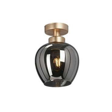 Потолочный светильник V3034-8/1PL (стекло, цвет черный)