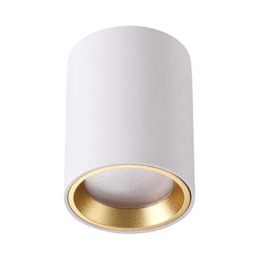 Накладной светильник влагозащищенный Odeon Light Aquana 4206/1C