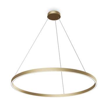 Подвесной светильник Maytoni MOD058PL-L54BSK Rim Modern