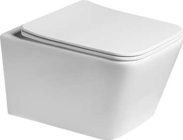 Комплект 3 в 1 инсталляция Rapid SL