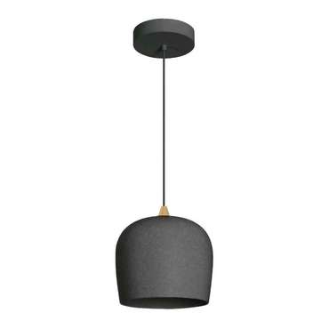 Подвесной светодиодный светильник Peony черного цвета