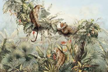 Фотообои Leopards. с текстурированным покрытием