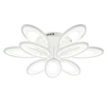 Потолочная люстра Ecla 10242/9LED (акрил, цвет белый)