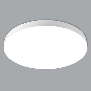 Потолочный светильник AL1600 48883 (акрил, цвет белый)