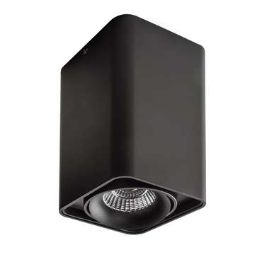 Потолочный светильник Monocco черного цвета