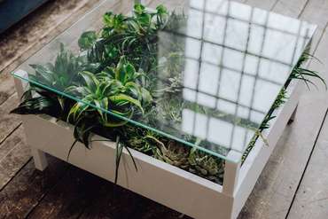 Журнальный столик с искусственными растениями