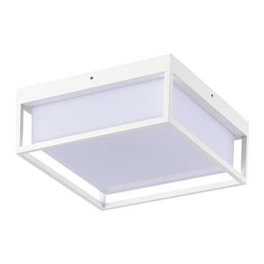 Светильник уличный потолочный ST-Luce белый/белый LED 1*20W 3000K/4000K/5000K CUBO