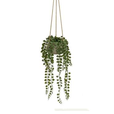 Декоративное растение полиэтилен Цемент 18 x 18 x 46 cm