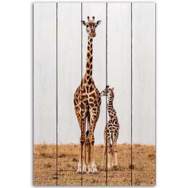 Картина на дереве Жирафы 40х60 см