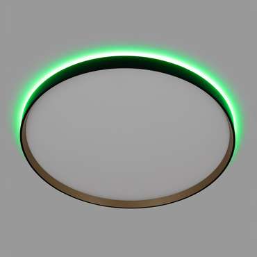 Citilux ETALON CL750501R LED RGB Светильник с пультом Чёрный+Золото