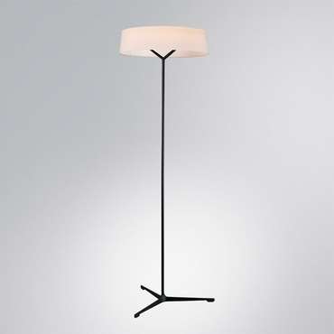 Торшер Divinare ALMA 1029/06 PN-11