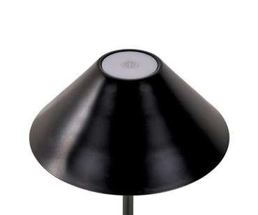 Настольная лампа Паола черный d16 h36 Led 2,5w (3000-6000K)