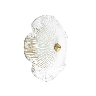 Бра Loft It Bloom 10352W/B AB