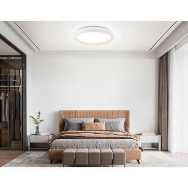 Светильник потолочный Ambrella Orbital FZ607