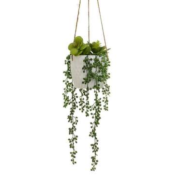 Декоративное растение Керамика полиэтилен 14 x 14 x 40 cm