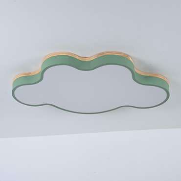 Потолочный светильник CLOUD ECO D63 Green