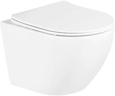 Комплект 3 в 1 инсталляция Rapid SL