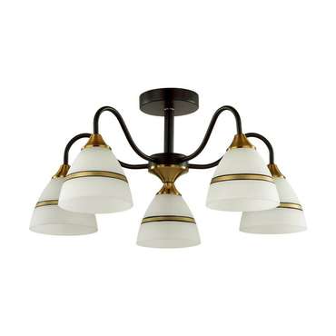 Потолочная люстра LUMION NETTIE 5214/5C