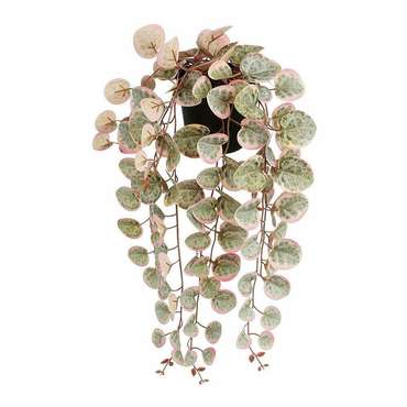 Декоративное растение Ceropegia Woodii 10 x 46 x 12 cm Искусственная Для подвешивания