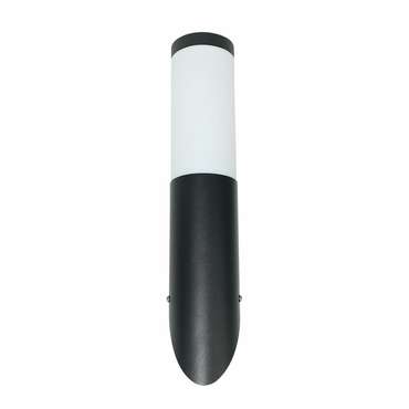 Уличный настенный светильник Arte Lamp SALIRE A3157AL-1BK