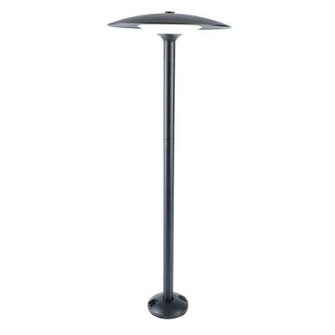 Ландшафтный светильник Берген 51980 (алюминий, цвет черный)