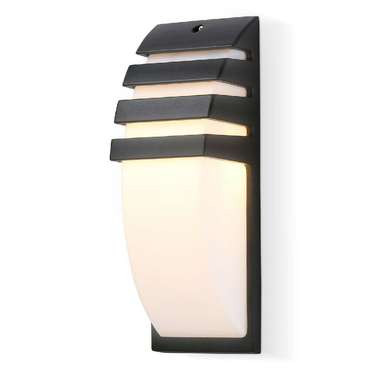Уличный настенный светильник Ambrella Garden ST5202