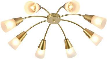 Потолочная люстра Aquilegia 1100/8P Gold (стекло, цвет белый)