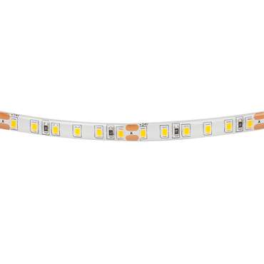 Лента LIGHTSTAR LED 24V 12W 120leds/M 1500LM/M 4000K IP65 1 шт = 5м
