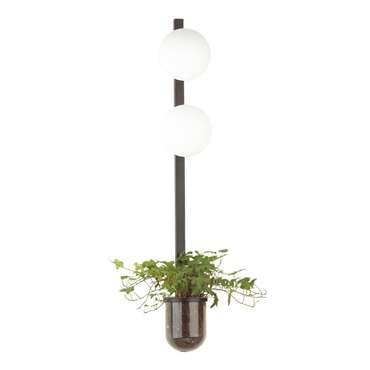 Бра Odeon Light Flower 4681/2WA шарики