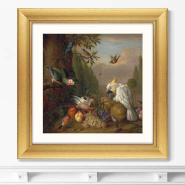 Репродукция картины в раме Какаду, попугай, сойка и другие птицы, 1715г.