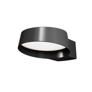 Настенный светильник (бра) Outdoor O443WL-L12GF3K Share Outdoor