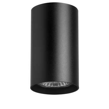 Потолочный светильник Rullo черного цвета