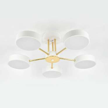 Потолочная люстра Rune 10262/5LED (акрил, цвет белый)