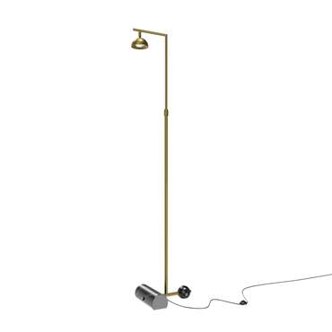 Напольный светильник (торшер) Maytoni MOD372FL-L10BS3K Pikant Modern