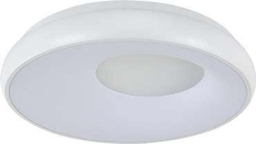 Потолочный светильник круглый с пультом (ночной режим) LED (14016/1С White) Indigo Cratere V000152L