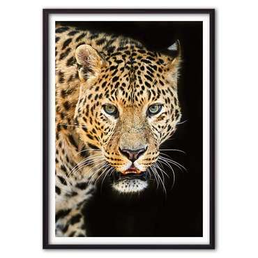Постер в рамке Леопард 1 21х30 см
