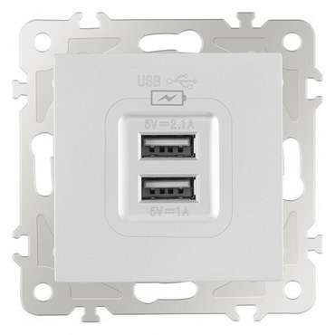 Розетка USB, без рамки 206.46-1.silver