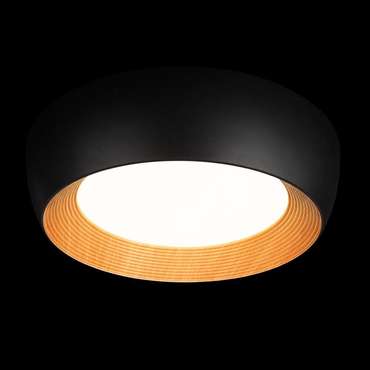 Потолочный светильник Folk 10255/500 Black (металл, цвет черный)