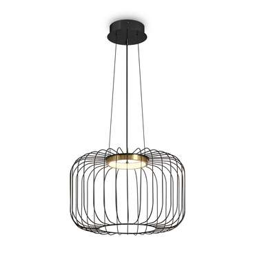 Подвесной светильник Freya FR5398PL-L8B Citrus Modern