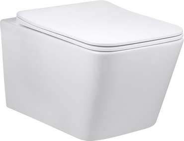 Комплект 3 в 1 инсталляция Rapid SL