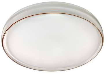 Потолочный светильник SPB-6 Б0054484 (пластик, цвет белый)