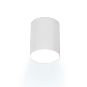 Накладной светильник Arton 59978 4 (алюминий, цвет белый)