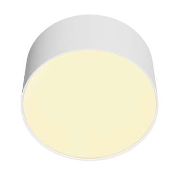 Потолочный светильник Technical C032CL-12W2.7K-RD-W Zon Ceiling
