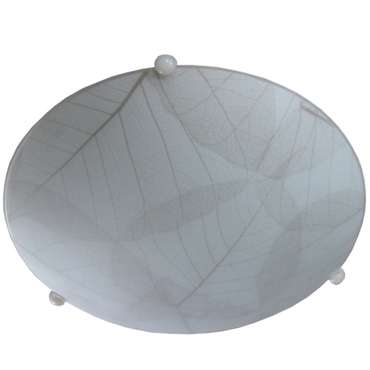 Светильник настенно-потолочный