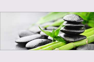 PRO-Art Репродукция   Glas Art Little Bamboo