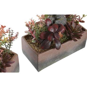 Декоративное растение 19 x 9 x 22 cm Розовый Оранжевый Кактус Резина Eva полипропилен (2 штук)